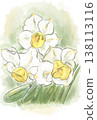 水仙 138113116