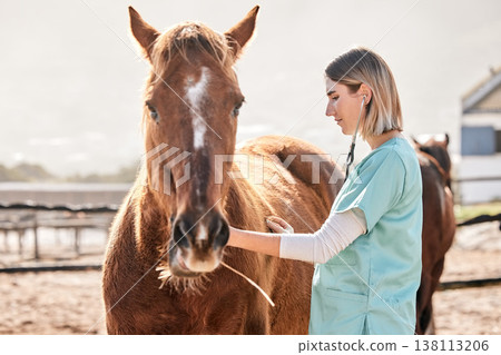 Horse doctor, stethoscope and listen at farm for health, care and inspection of animal in nature. Vet, nurse woman and equine healthcare expert in sunshine, countryside or help to check for wellness Horse doctor, stethoscope and listen at farm for health, care and inspection of animal in nature. Vet, nurse woman and equine healthcare expert in sunshine, countryside or help to check for wellness 138113206