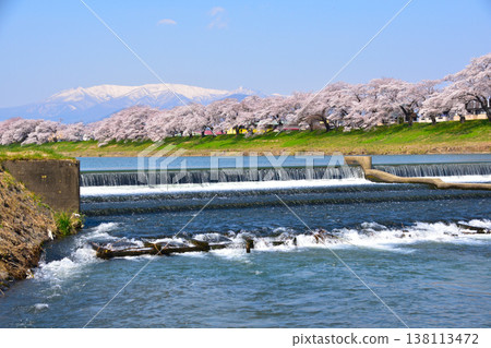 春天、櫻花、白石川、韭神堰 春天、櫻花、白石川、韭神堰 138113472