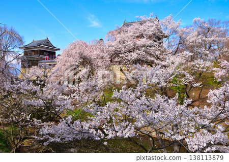 春天的櫻花 上田城南角樓 春天的櫻花 上田城南角樓 138113879