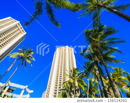 夏威夷的形象：棕櫚樹和度假酒店 138114201