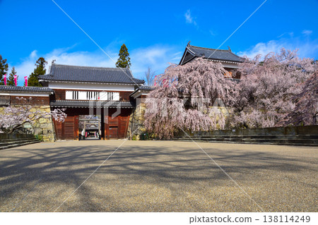 Spring Cherry Blossoms Ueda Castle North Tower 138114249