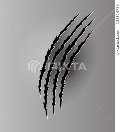 Bear or tiger claw mark. Scratches and torn traces of vector animal paw slashes. Hole in sheet of paper with torn edges. Vector illustration Bear or tiger claw mark. Scratches and torn traces of vector animal paw slashes. Hole in sheet of paper with torn edges. Vector illustration 138114786