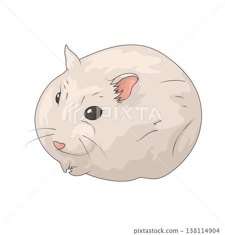 Illustration of Hamster 138114904