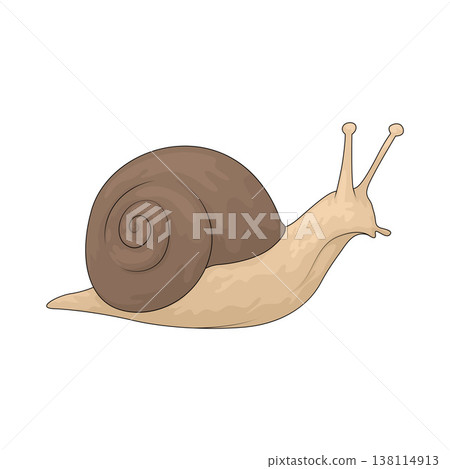 Illustration of Snail 138114913