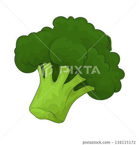 Illustration of Broccoli Illustration of Broccoli 138115172