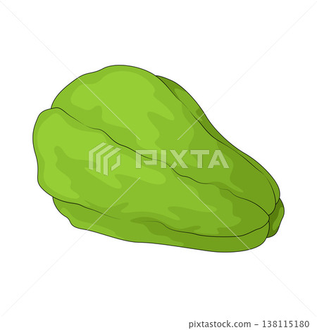 Illustration of chayote 138115180