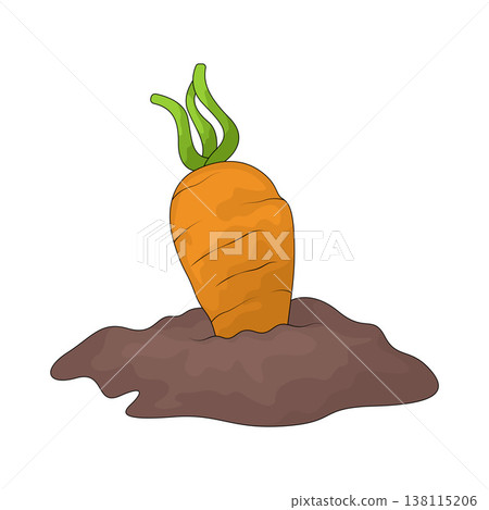 Illustration of carrot 138115206