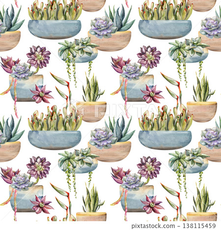 Potted succulents, strelitzia flowers, sansevieria rosettes, hanging vines, matching terracotta planters. Isolated illustration hand drawn in watercolor. Seamless pattern for modern interior visuals. Potted succulents, strelitzia flowers, sansevieria rosettes, hanging vines, matching terracotta planters. Isolated illustration hand drawn in watercolor. Seamless pattern for modern interior visuals. 138115459