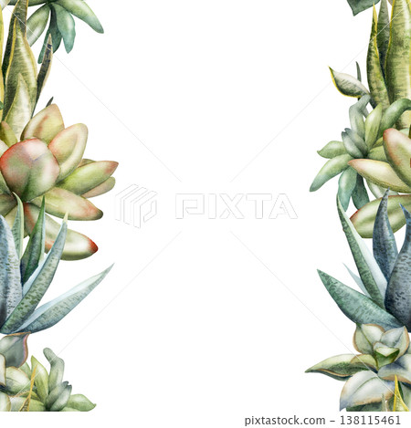 Watercolor echeveria rosette succulents, aloe vera, Sansevieria snake plant seamless banner. Hand drawn illustration for eco startup landing pages, natural skincare marketing, plant shop promotions. Watercolor echeveria rosette succulents, aloe vera, Sansevieria snake plant seamless banner. Hand drawn illustration for eco startup landing pages, natural skincare marketing, plant shop promotions. 138115461