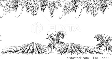 Vineyard vista landscape seamless banner with grapevine rows in perspective, closeup of hanging leafy ripe grape clusters. Hand drawn ink vector illustration. Rustic winery visuals, menus, wrapping Vineyard vista landscape seamless banner with grapevine rows in perspective, closeup of hanging leafy ripe grape clusters. Hand drawn ink vector illustration. Rustic winery visuals, menus, wrapping 138115468