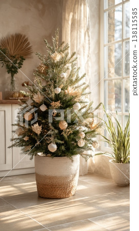 A simple potted tree stands as a minimalist holiday decoration. Slow living and mindful celebration. A simple potted tree stands as a minimalist holiday decoration. Slow living and mindful celebration. 138115585