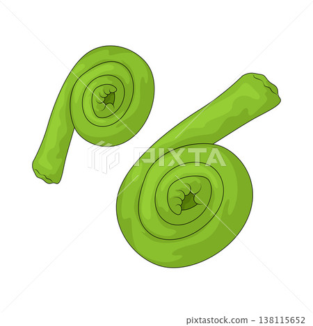 Illustration of Fiddlehead 138115652