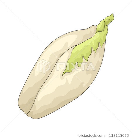 Illustration of Endive Illustration of Endive 138115653