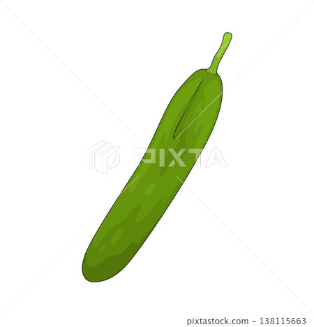 Illustration of Cucumber 138115663