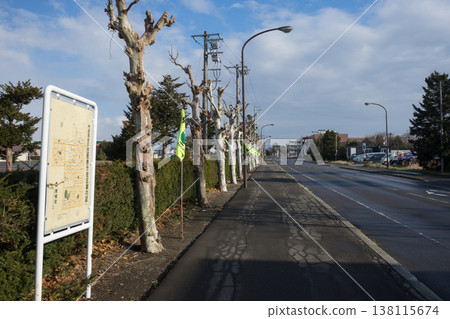 鄉村一條濕漉漉的、綠樹成蔭的道路 138115674