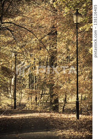 Beautiful park in autumnal colors 138116405