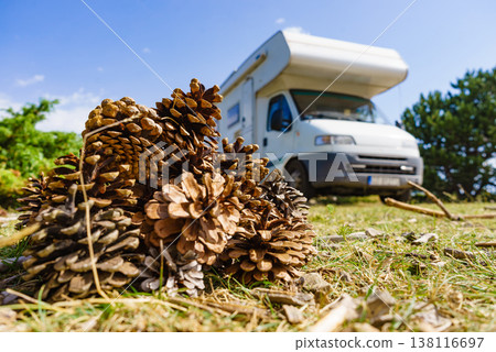 Campers enjoy outdoor living with a motorhome near a pile of pine cones under a clear blue sky in the forest 138116697