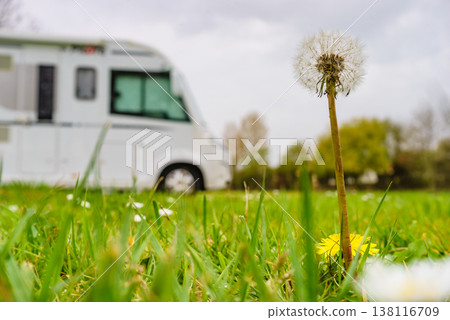 Spring green meadow with flowers and caravan camping in the distance Spring green meadow with flowers and caravan camping in the distance 138116709