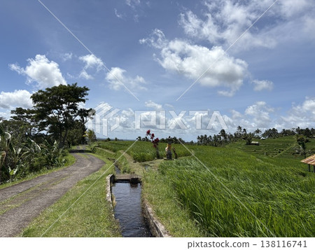 Bali rice terraces, flowing water 138116741