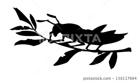 Vector drawing. Big garden locust Vector drawing. Big garden locust 138117664