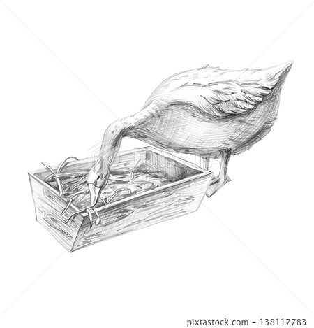 A realistic pencil drawing of a goose at a feeder. An isolated illustration for farms, grocery stores, restaurants, and any nature- or agriculture-themed spaces. 138117783
