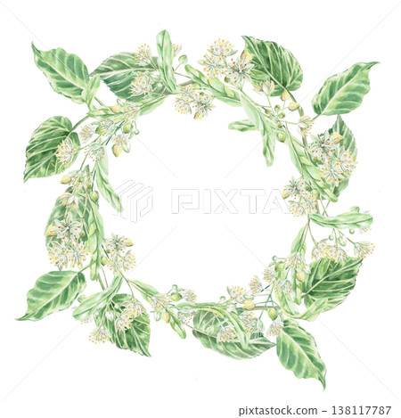 Wreath of linden blossoms and leaves. Isolated watercolor illustration for design of pharmaceutical, cosmetic, eco-friendly products and beverages, food products. Wreath of linden blossoms and leaves. Isolated watercolor illustration for design of pharmaceutical, cosmetic, eco-friendly products and beverages, food products. 138117787