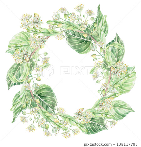 Wreath of blossoming linden branches. Isolated watercolor illustration for pharmaceutical, cosmetic, eco-friendly products and beverages, food, health design. Wreath of blossoming linden branches. Isolated watercolor illustration for pharmaceutical, cosmetic, eco-friendly products and beverages, food, health design. 138117793
