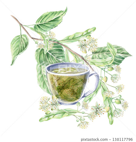 Cup with linden tea, curved linden branch. Isolated watercolor illustration for the design of pharmaceutical products, cosmetics, eco-friendly products and beverages, food, health. Cup with linden tea, curved linden branch. Isolated watercolor illustration for the design of pharmaceutical products, cosmetics, eco-friendly products and beverages, food, health. 138117796