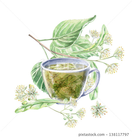 Cup with linden tea, linden branches and flowers. Isolated watercolor illustration for the design of pharmaceutical products, cosmetics, eco-friendly products and drinks, food, health. 138117797