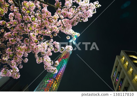 燈火通明的櫻花和晴空塔 燈火通明的櫻花和晴空塔 138117810