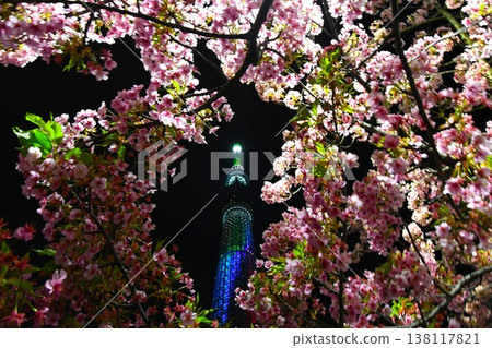 燈火通明的櫻花和晴空塔 燈火通明的櫻花和晴空塔 138117821