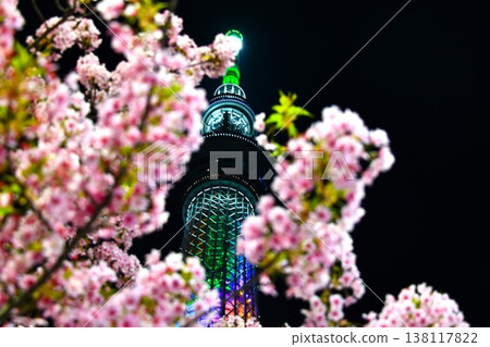燈火通明的櫻花和晴空塔 燈火通明的櫻花和晴空塔 138117822
