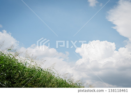夏天的藍天白雲 138118461