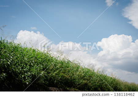 夏日的天空和道路;夏日的藍天和白雲 夏日的天空和道路;夏日的藍天和白雲 138118462