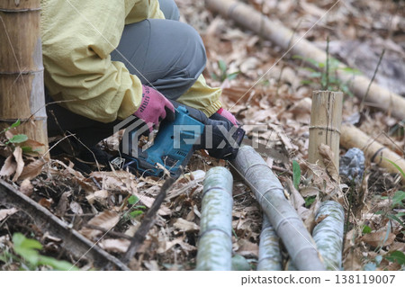Woman cutting bamboo Woman cutting bamboo 138119007