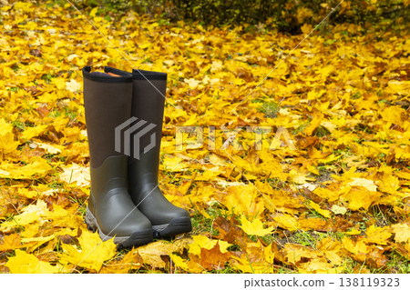 Rubber boots standing on yellow autumn leaves 138119323
