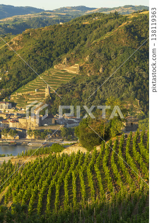 Vineyards overlooking Tournon sur Rhone town and Rhone river 138119363