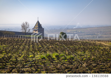Vineyards with an historic tower in Chenas, Beaujolais Vineyards with an historic tower in Chenas, Beaujolais 138119388