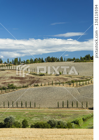 Tuscan landscape with plowed hills and cypress trees in Peccioli Tuscan landscape with plowed hills and cypress trees in Peccioli 138119394