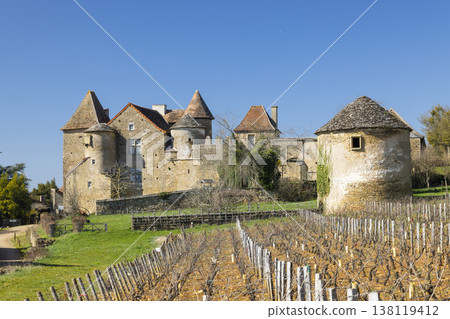 Chateau de Bissy sur Fley and vineyard in Bourgogne Franche Comte Chateau de Bissy sur Fley and vineyard in Bourgogne Franche Comte 138119412