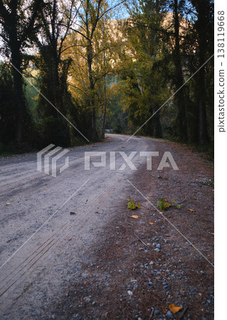 landscape rural dirt road in the forest 138119668