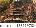 Stone steps covered in fallen autumn leaves and soft sunlight filtering through the trees. 138119762