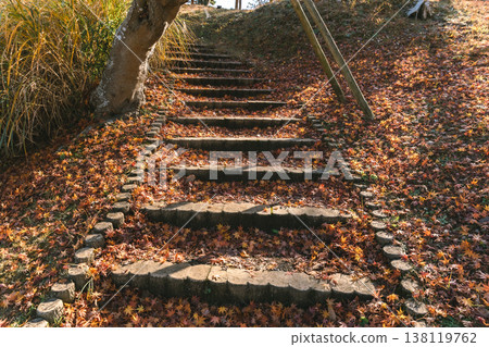 石階上覆蓋著落葉,柔和的陽光透過樹葉灑下來。 石階上覆蓋著落葉,柔和的陽光透過樹葉灑下來。 138119762