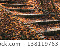 Stone steps covered in fallen autumn leaves and soft sunlight filtering through the trees. 138119763