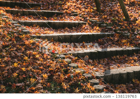 Stone steps covered in fallen autumn leaves and soft sunlight filtering through the trees. Stone steps covered in fallen autumn leaves and soft sunlight filtering through the trees. 138119763