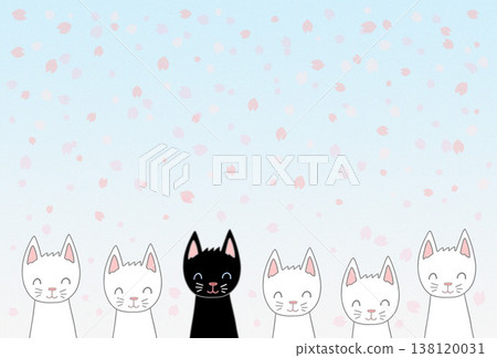 Cat character postcards - White cat, black cat, cherry blossoms, cherry blossom blizzard 138120031