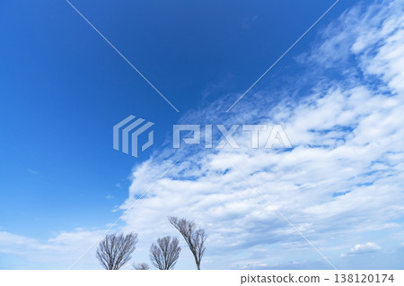 Blue sky, clouds and grove Blue sky, clouds and grove 138120174