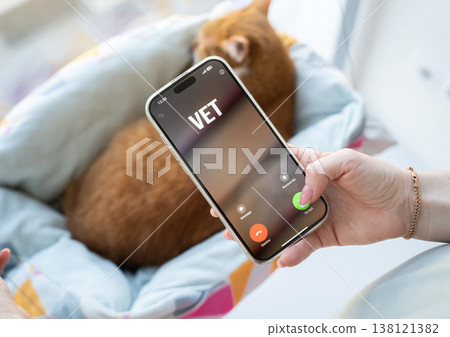 A woman receives a call from a veterinarian about her cat's test results. Pet health and care. Veterinary services, diagnostics, and animal treatment ensure wellbeing and responsible pet ownership A woman receives a call from a veterinarian about her cat's test results. Pet health and care. Veterinary services, diagnostics, and animal treatment ensure wellbeing and responsible pet ownership 138121382