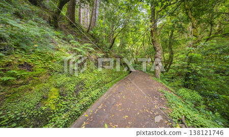 Vereda dos Balcoes PR11 Mountain Footpath, Madeira, Portugal Vereda dos Balcoes PR11 Mountain Footpath, Madeira, Portugal 138121746